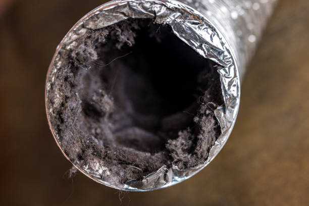 Reliable River Ridge, FL Airduct Cleaning Solutions