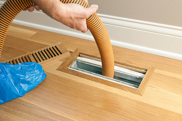 Best Professional Duct Cleaning Services  in River Ridge, FL